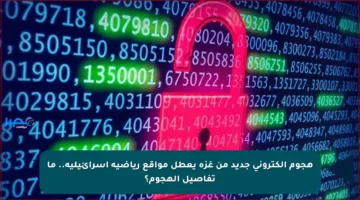 هجوم إلكتروني جديد من غزة يعطل مواقع رياضية إسرائيلية.. ما تفاصيل الهجوم؟